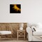 Stupell Industries Water Droplets on Sunflower Framed Giclee, design by Brian Carson Photography